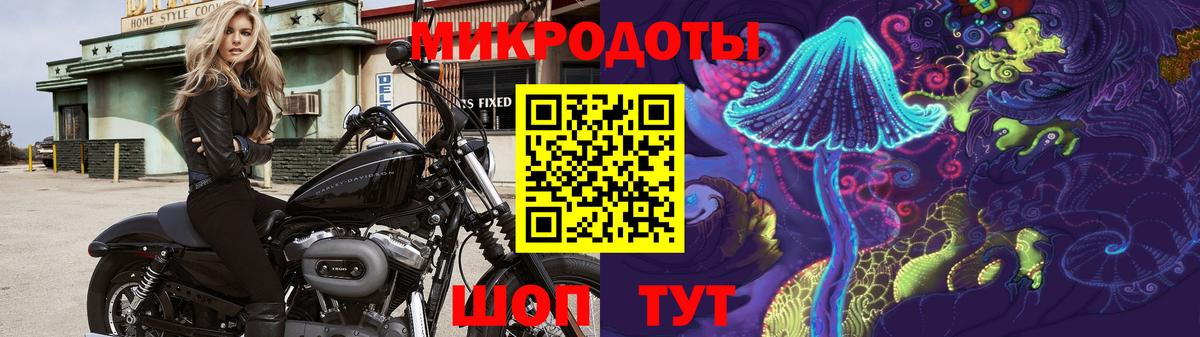 Галлюциногенные грибы мицелий  Вход с VPN  Гурьевск 